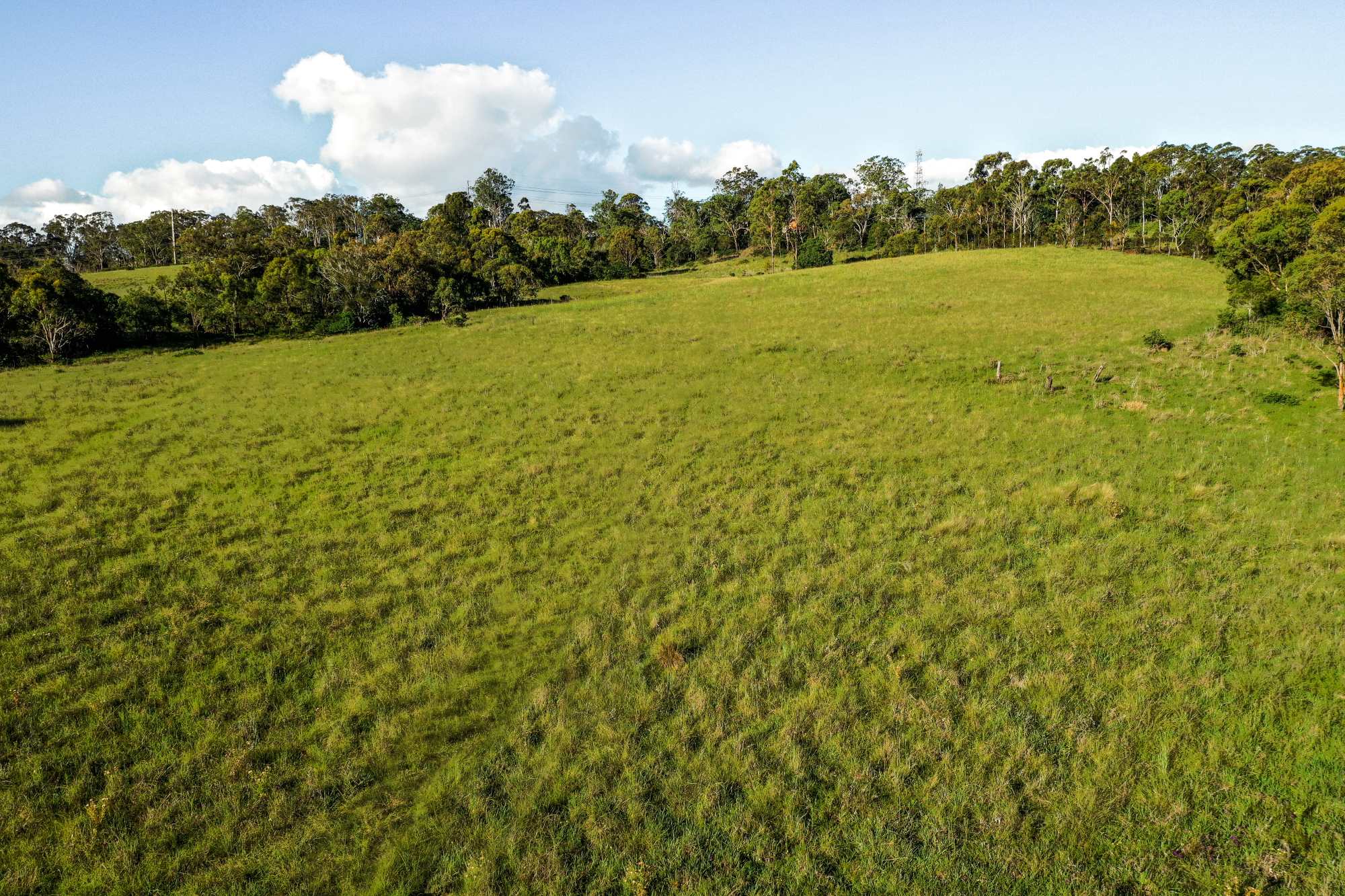 [Land for Sale] Willow Brae, Top Camp OpenLot